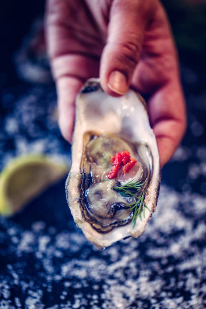 istock Oysters on plate with Ice, Lemon and Tabasco 663905692
