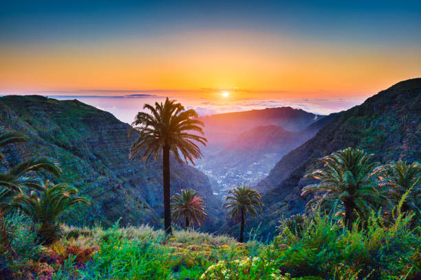 Amazing tropical scenery with palm trees and mountains at sunset Beautiful view of amazing tropical scenery with exotic palm trees and mountain valleys above wide open sea in golden evening light at sunset with blue sky and clouds in summer, Canary Islands, Spain tenerife stock pictures, royalty-free photos & images