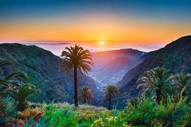 Beautiful view of amazing tropical scenery with exotic palm trees and mountain valleys above wide open sea in golden evening light at sunset with blue sky and clouds in summer, Canary Islands, Spain