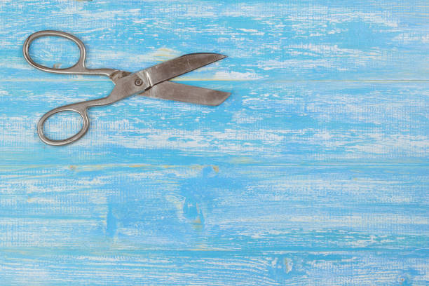 istock Tailor's scissors on a blue wooden table. 663921214