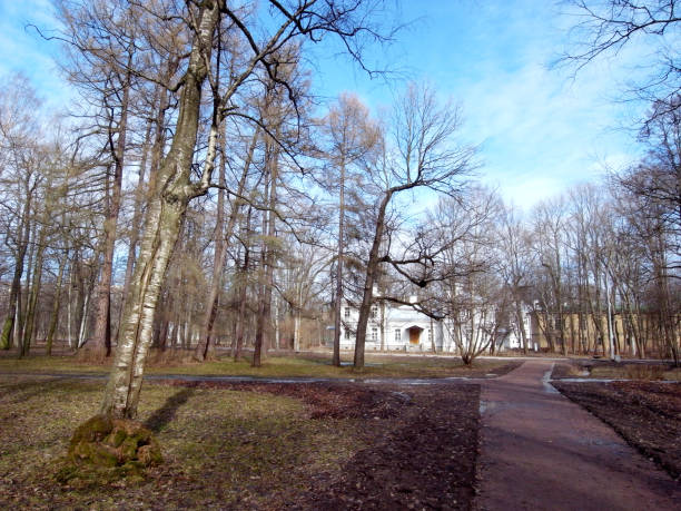 istock Early in the city park. 663925756