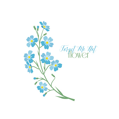 Vector illustration blue flowers. Branch of blue forget-me-not flowers