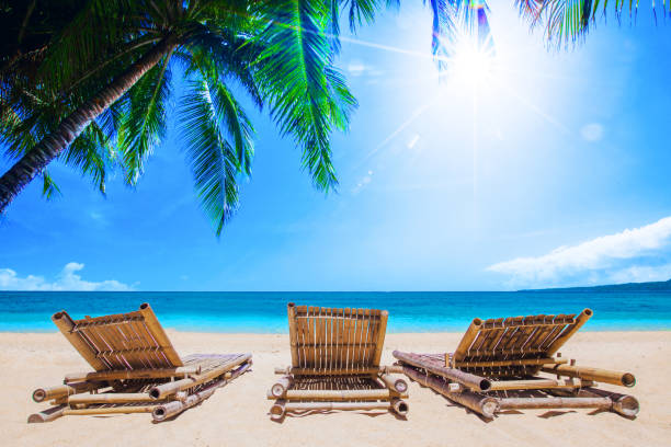 istock Beach beds under the palm trees 663928966