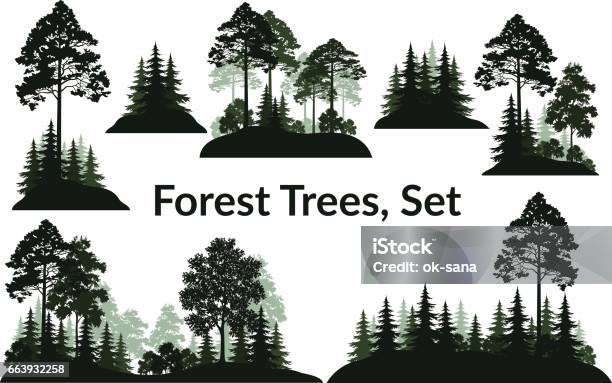 Landschaften Bäume Silhouetten Stock Vektor Art und mehr Bilder von Wald - Wald, Kontur, Kiefer