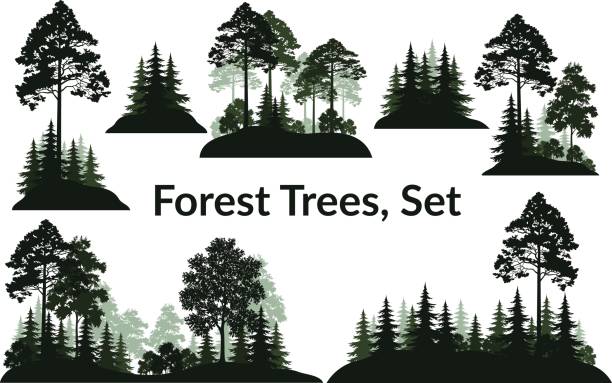 ilustrações de stock, clip art, desenhos animados e ícones de landscapes, trees silhouettes - tree tree trunk forest glade