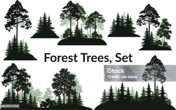 Landscapes Trees Silhouettes Stock Illustration - Download Image Now - Forest, In Silhouette, Pine Tree