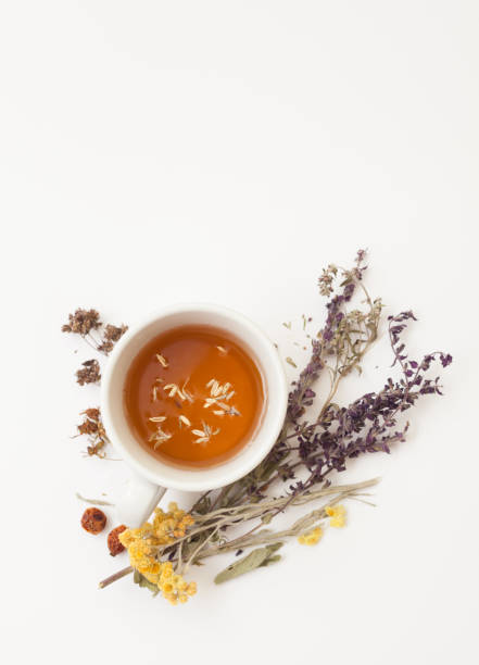 istock Herbal tea and dried herbs on a white background 663936764