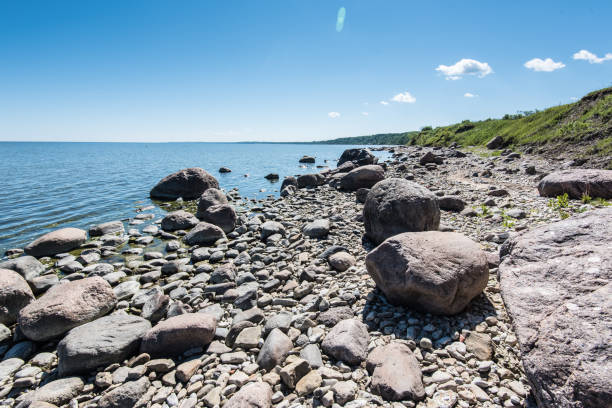 istock Baltic Sea coast in the summer. Estonia. 663940518