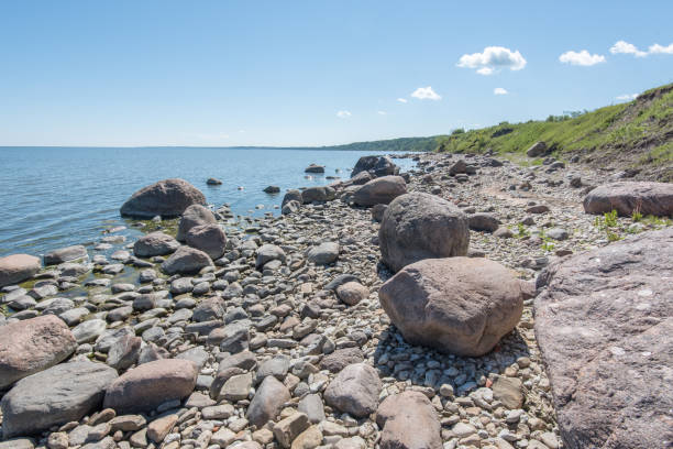 istock Baltic Sea coast in the summer. Estonia. 663940548
