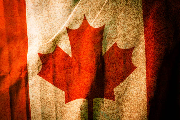 istock Canada national flag,Grunge background 663943596