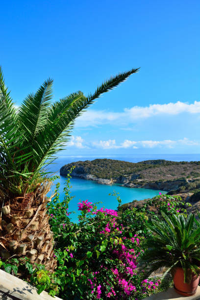 istock Sea view from the terrace flower. Greece, Crete. 663943824