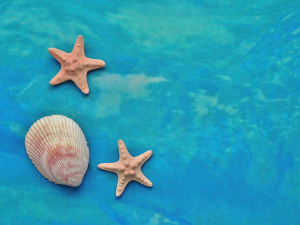 istock Textiles turquoise sea background with starfish and seashells. 663948688