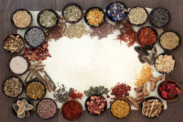 istock Dried Medicinal Herbs and Flowers 663958510
