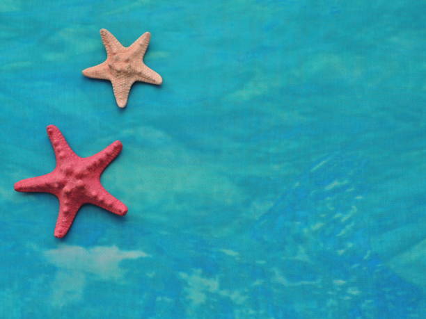 istock Textiles turquoise sea background with starfish and seashells. 663958798