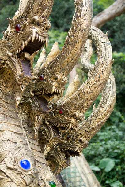 istock THAILAND CHIANG RAI MAE SAI MONKEY CAVE TEMPLE 663958806