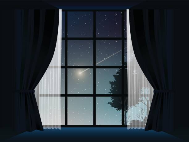 istock view of deep forest and comet at night in room 663963296