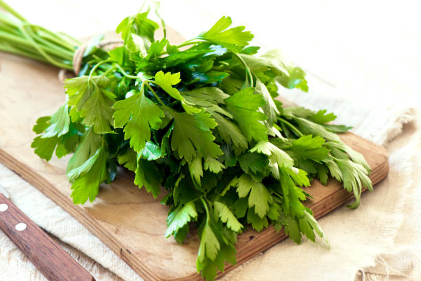istock Organic italian parsley 663963484