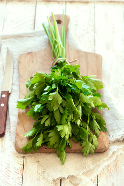 istock Organic italian parsley 663963522