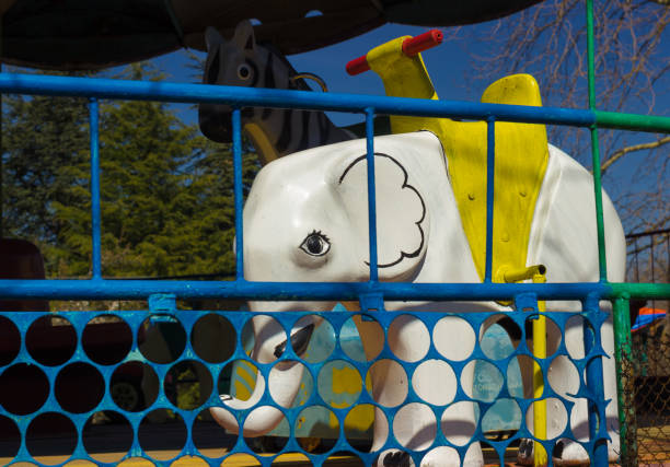 carousel day fun park summer