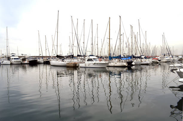 istock Boats moored in the harbour 663967488