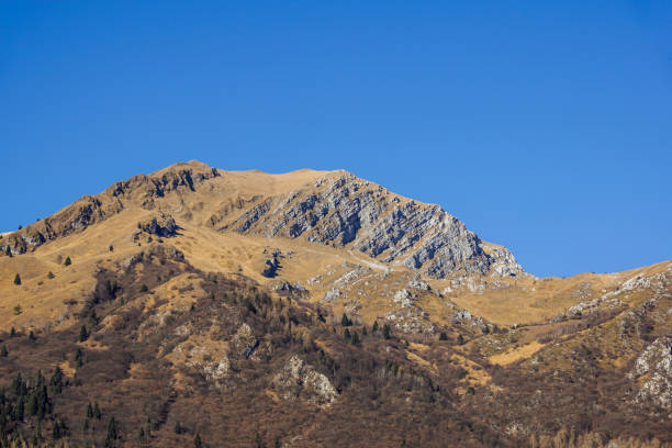 istock Mountain Ridge with Golden, Rolling Hills, Evergreen Trees and Blue sky . 663969730
