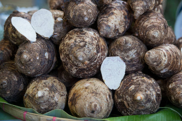 istock THAILAND CHIANG RAI MARKET FEGETABLE 663977608