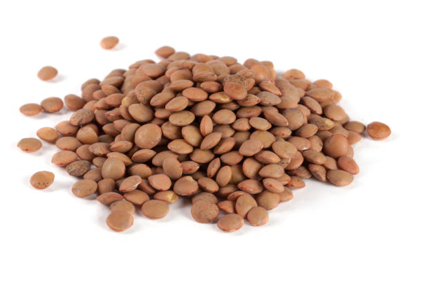 istock Pile of lentils isolated on white background 663984988