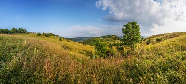 istock Natural beauty Walberla 663985220