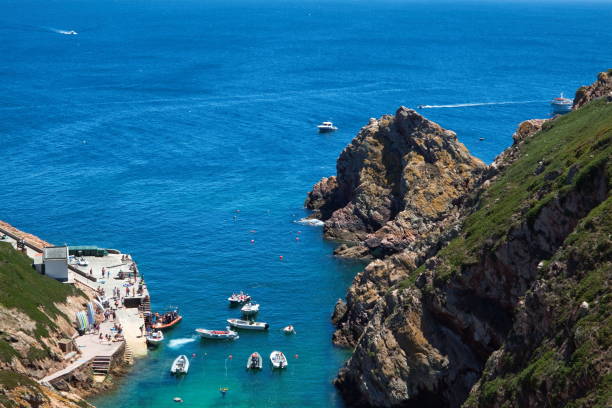 istock Berlenga Island - United Kingdom 664000096