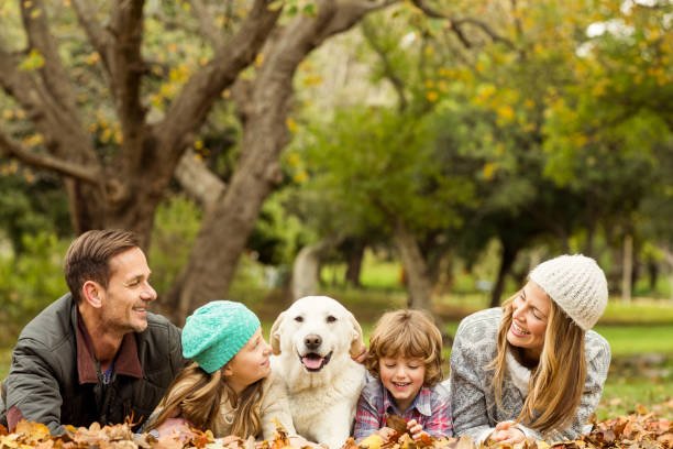 istock Young family with a dog 664000548