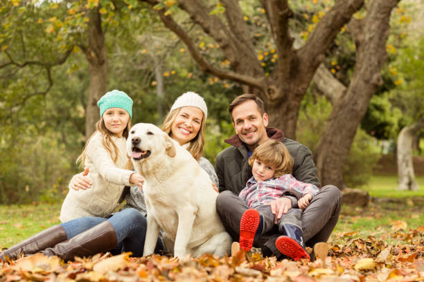 istock Young family with a dog 664000626