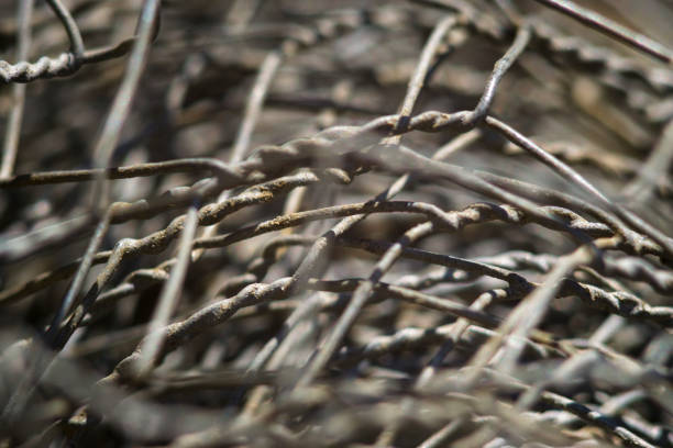 istock Rolled iron metal fence net 664000818