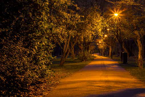 View of a road in the park late at night with lights on in London, United Kingdom.