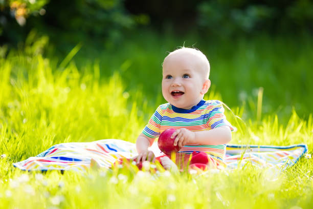 가족 정원 피크닉에 사과와 아기 소년 - 11250 뉴스 사진 이미지