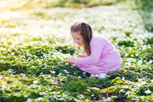 ребенок в весеннем парке с цветами - 11246 стоковые фото и изображения