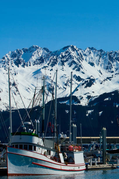 istock Boat in Harbor of Seward Alaska 664018258