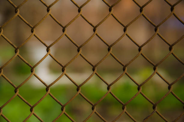 istock wire mesh steel with green grass background 664018496