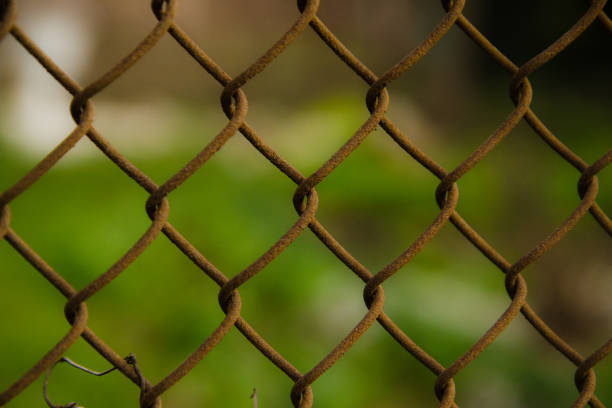 istock wire mesh steel with green grass background 664018554