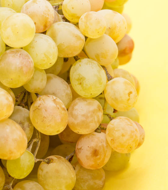 grapes on a yellow background