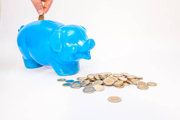 an plastics blue piggy bank with euro coinsan plastics blue piggy bank with euro coins
