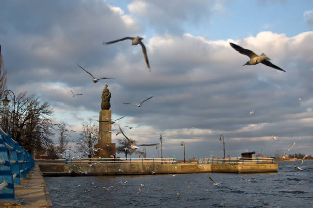 istock Seagulls fly over the city embankment 664025708