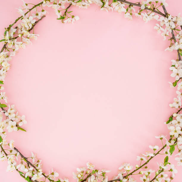 istock Spring time background. Frame of spring flowers on pink background. Flat lay, top view. 664032498