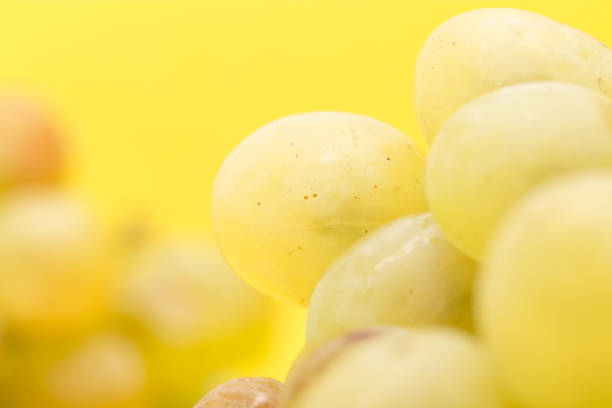 grapes on a yellow background