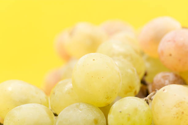 grapes on a yellow background