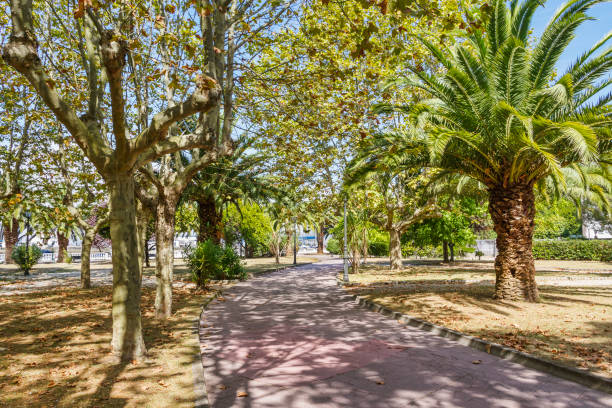 istock Promenade and trees on Cavadelo park 664037170