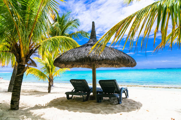 istock tropical relaxing vacation. white sandy beaches of Mauritius isalnd 664037486
