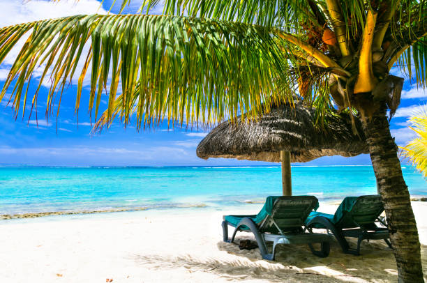 istock Romantic relaxing holidays in tropical island 664037520