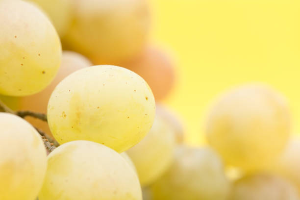 grapes on a yellow background