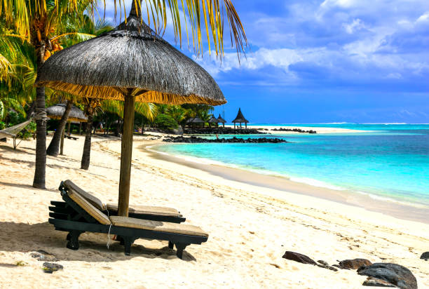 istock Tropical chilling out - serene beaches of Mauritius island 664039968