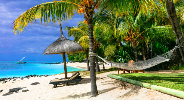 istock Relaxing tropical holidays with beach chairs and hammock. Mauritius island 664039970
